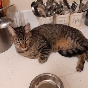 Meet your Posher, Alana